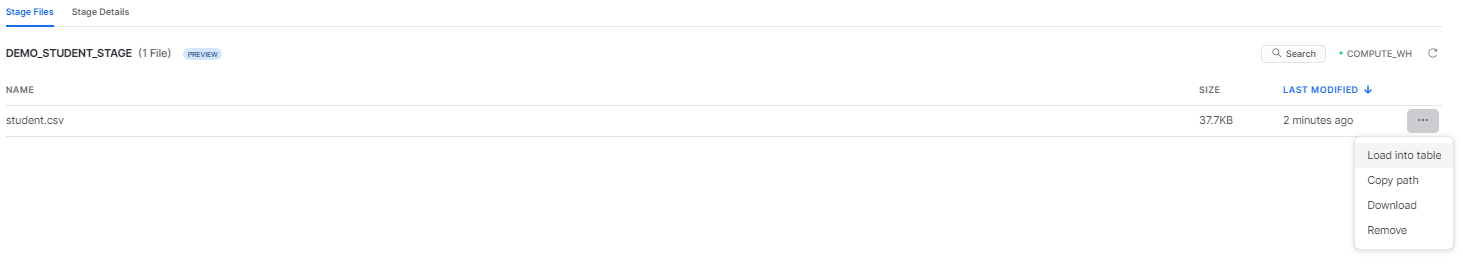 Copying path of Snowflake stage - upload CSV to Snowflake