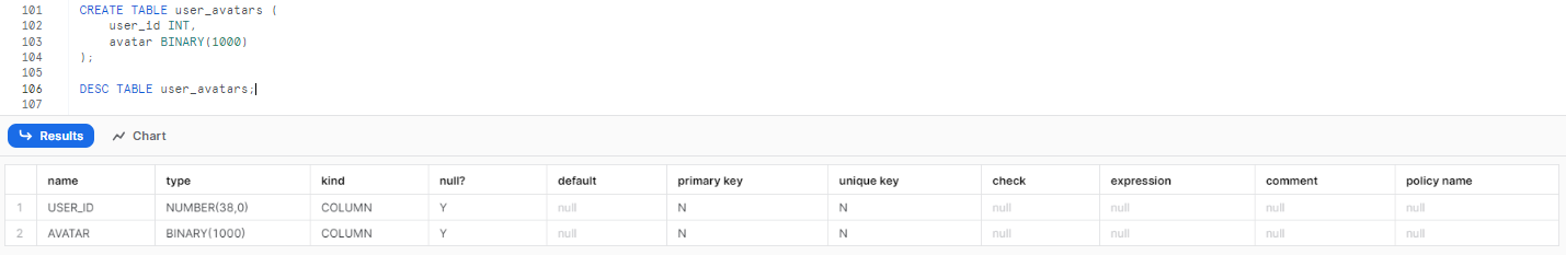 Creating a table with BINARY snowflake data type - data type in Snowflake