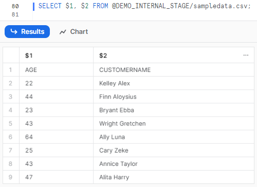 Select All the Data That You Have Loaded Into That Particular Stage - Snowflake COPY INTO