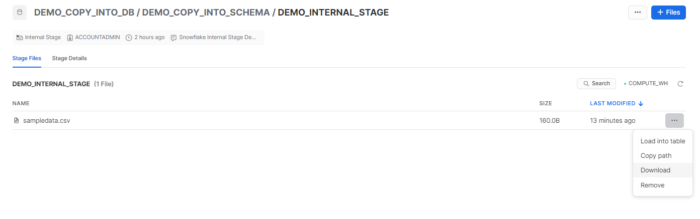 Clicking on meatball menu option located at the far right-hand corner of the Staged file - Snowflake COPY INTO