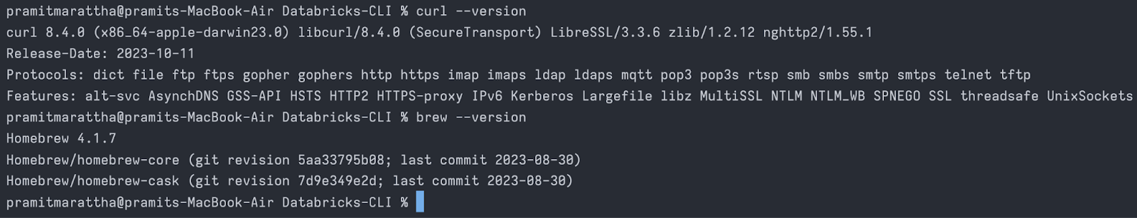 Checking if Curl / Homebrew Is Already Installed on macOS - Databricks CLI