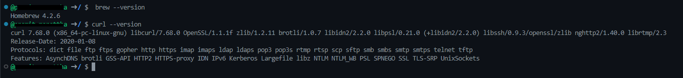 Checking if Curl / Homebrew Is Already Installed on Linux OS - Databricks CLI