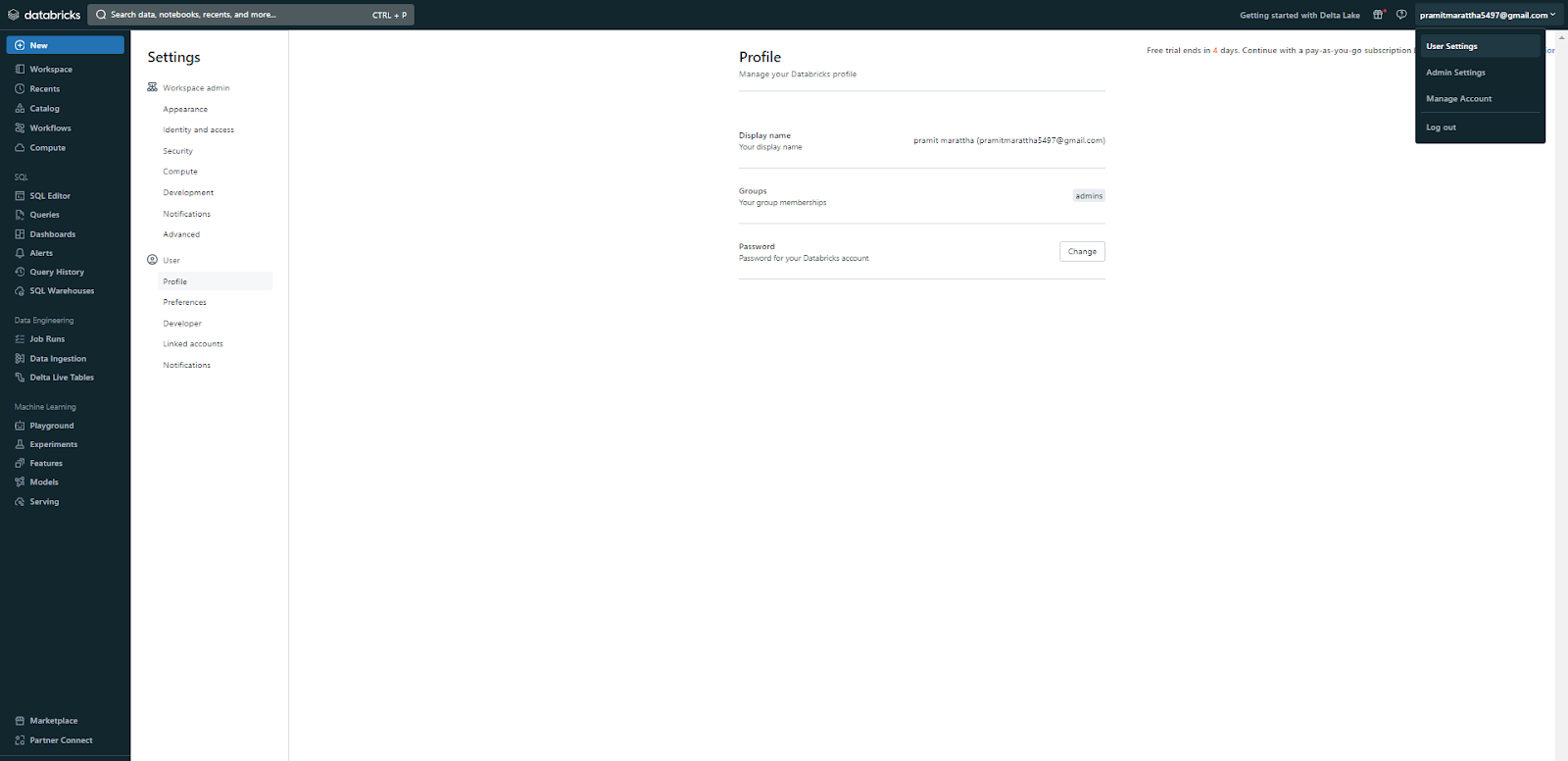 User setting section of Databricks workspace - Databricks CLI