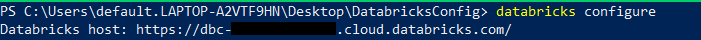 Entering Databricks Workspace URL - Databricks CLI