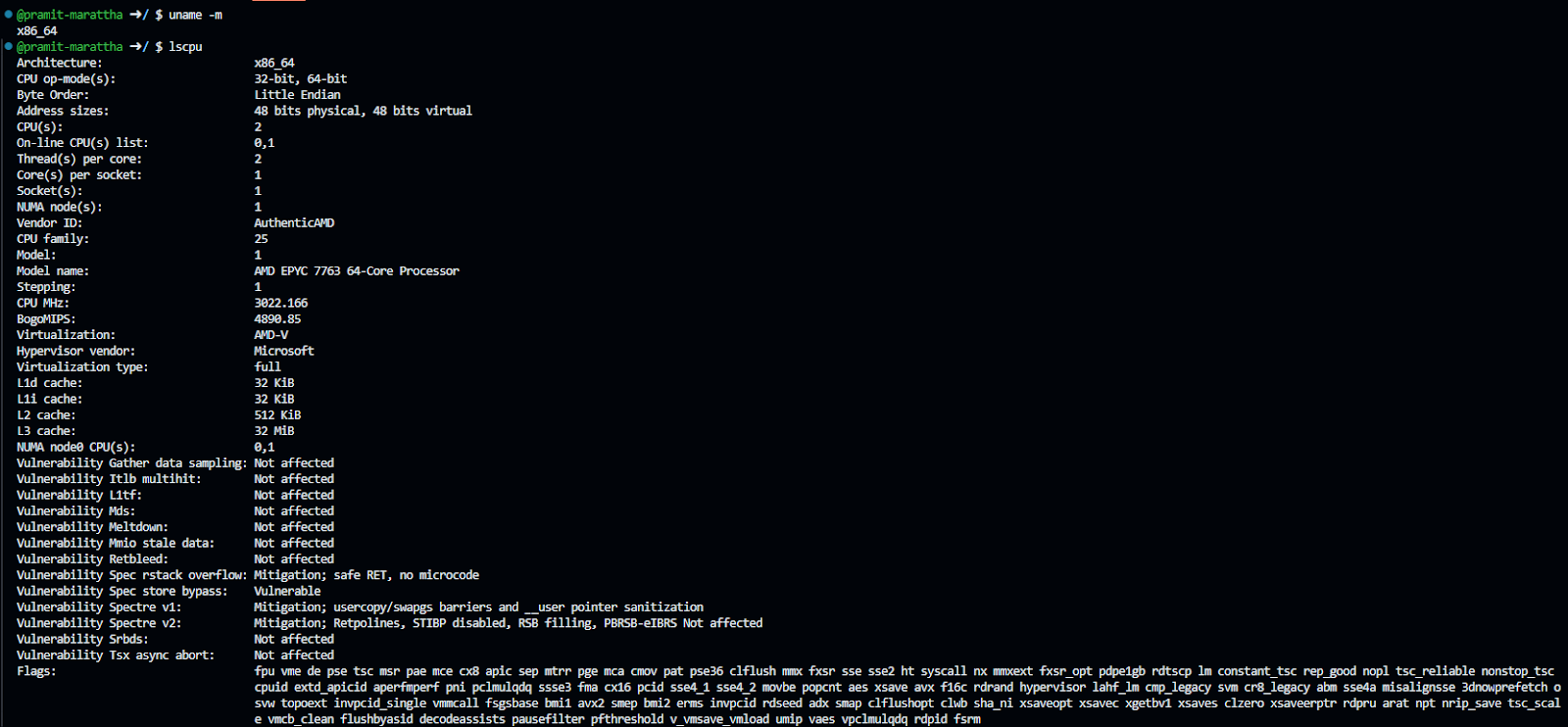 Checking Linux architecture name - Databricks CLI