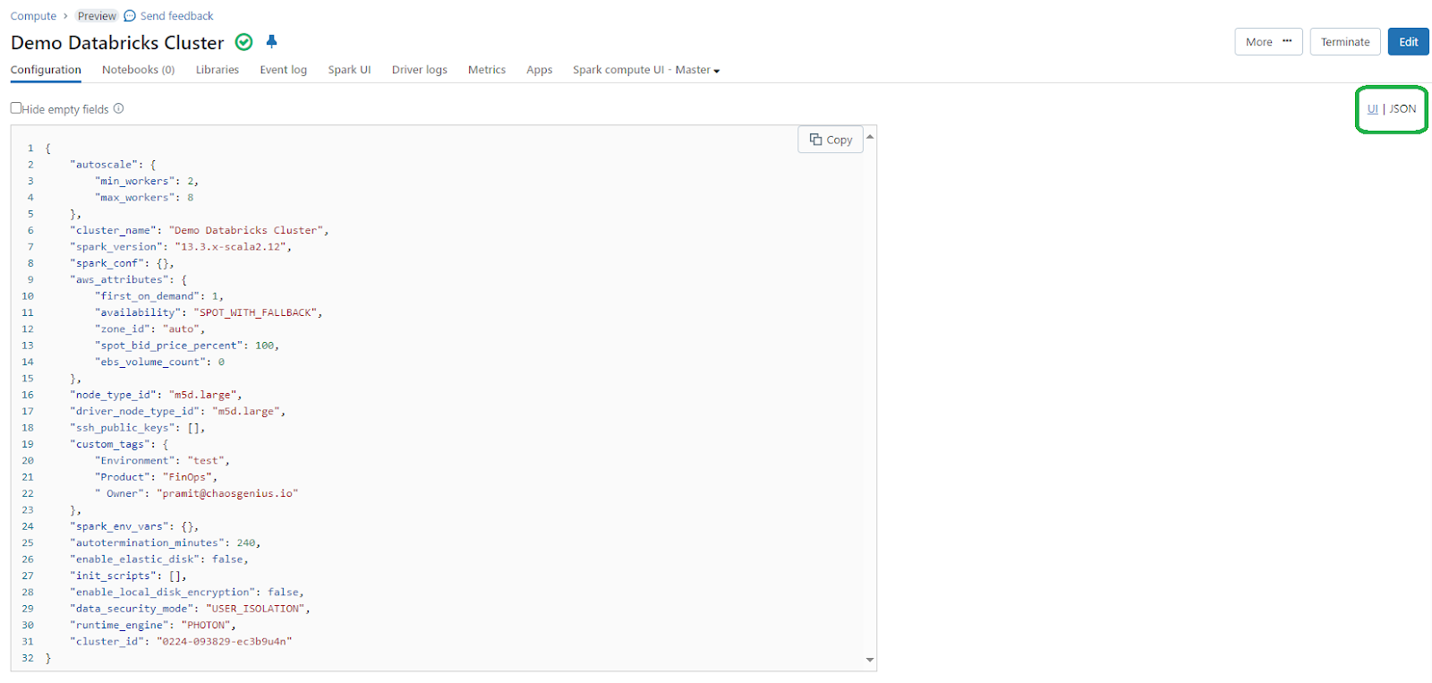 Viewing Databricks Cluster Configuration as JSON