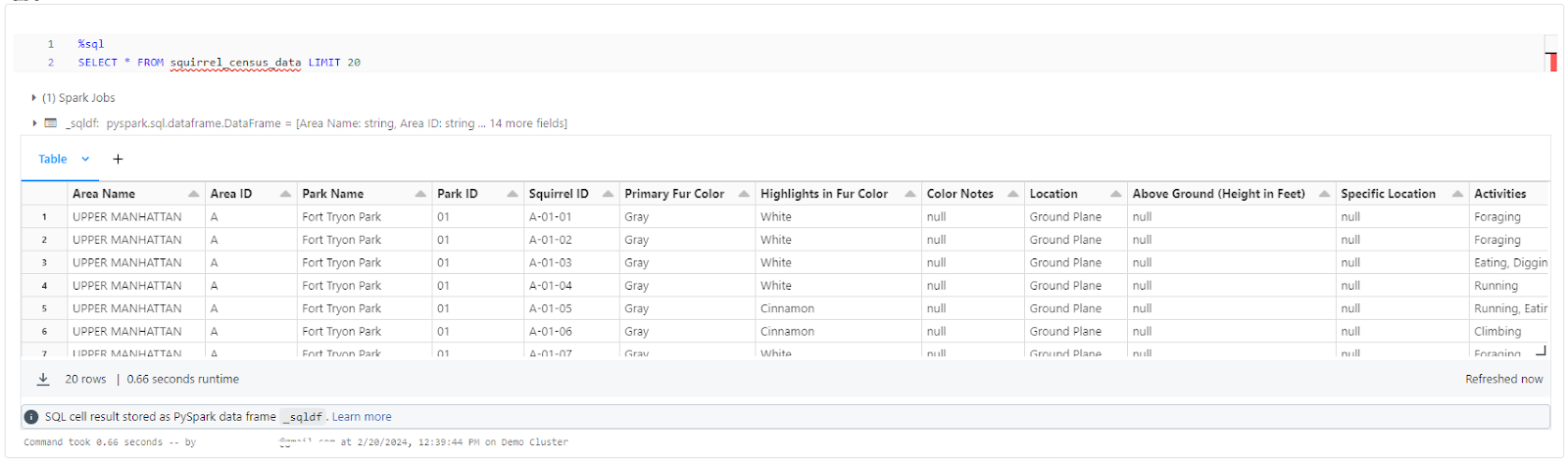 Displaying the first 20 rows of the table using SQL - Databricks DBFS - Databricks File System