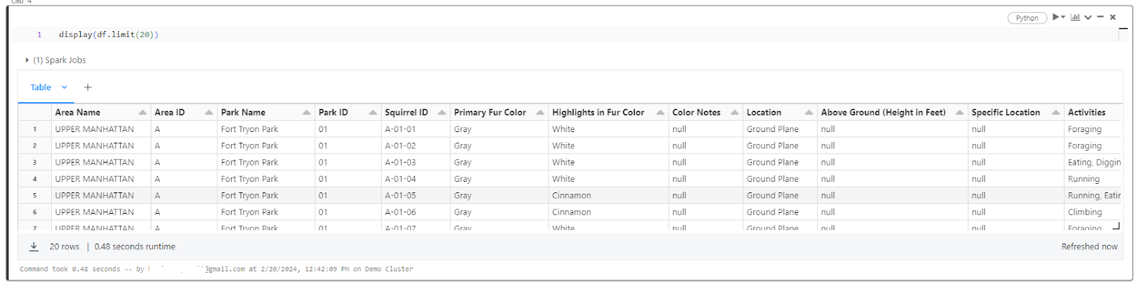 Displaying the first 20 rows of the table using DataFrame API - Databricks DBFS - Databricks File System