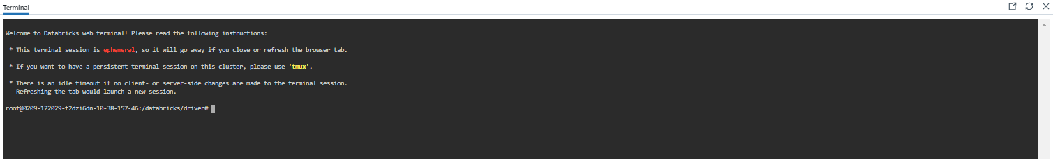 Integrated web-based terminal in Databricks Notebook
