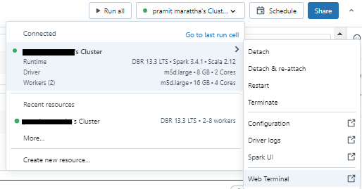 Integrated web-based terminal in Databricks Notebook