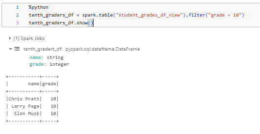 Querying a Delta View Using the DataFrame API