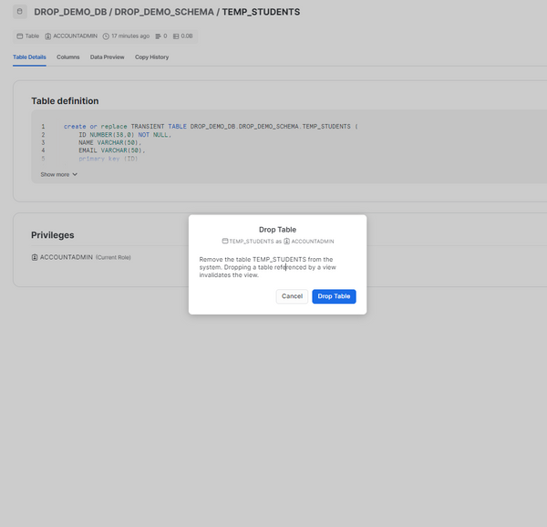 HOW TO Use Snowflake DROP TABLE to Permanently Remove Table (2024)